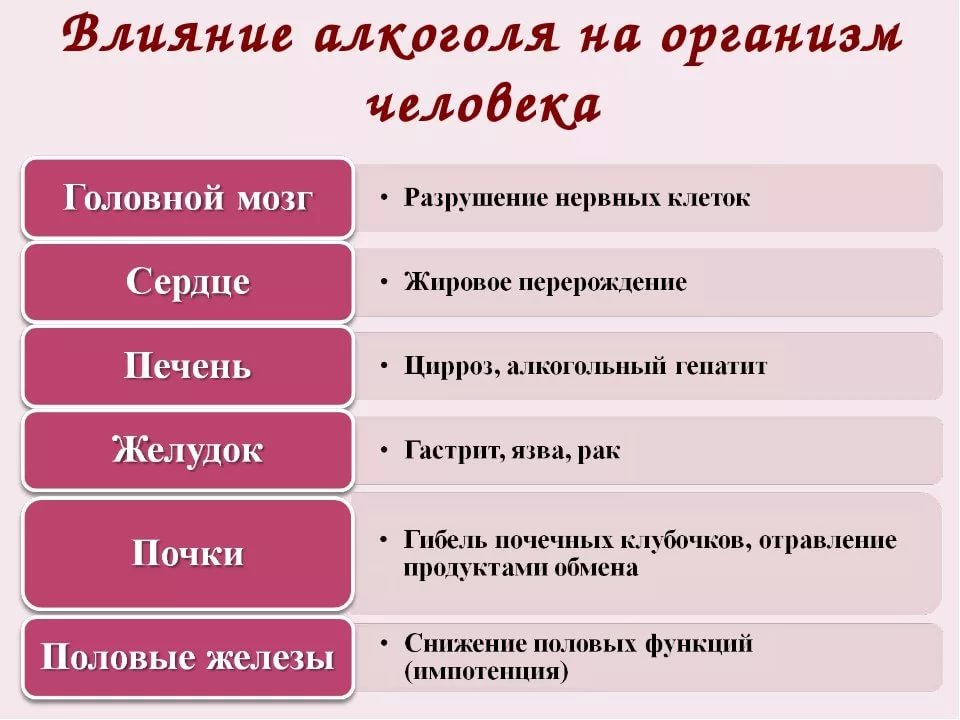 Инфографика Влияние алкоголя на организм человека